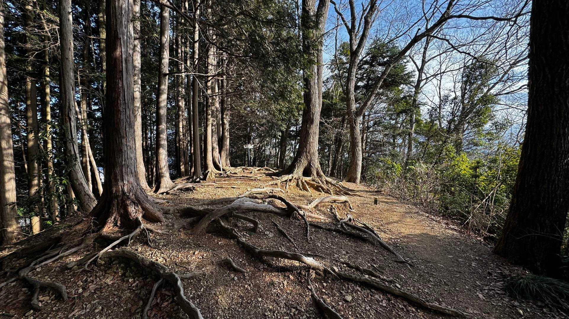 奥高尾〜裏高尾縦走（陣馬山・堂所山・富士見台・駒木野） の写真 57