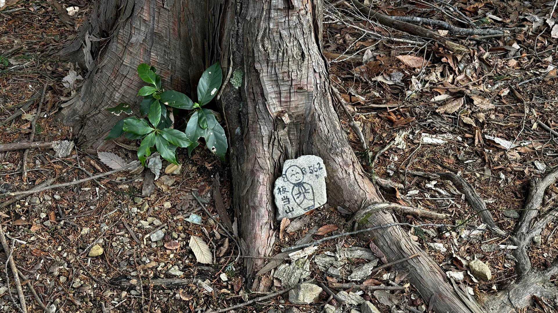 奥高尾〜裏高尾縦走（陣馬山・堂所山・富士見台・駒木野） の写真 53