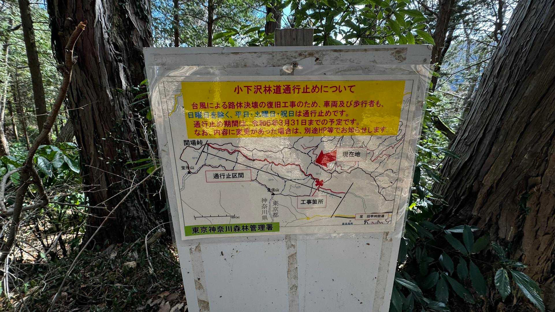 奥高尾〜裏高尾縦走（陣馬山・堂所山・富士見台・駒木野） の写真 52