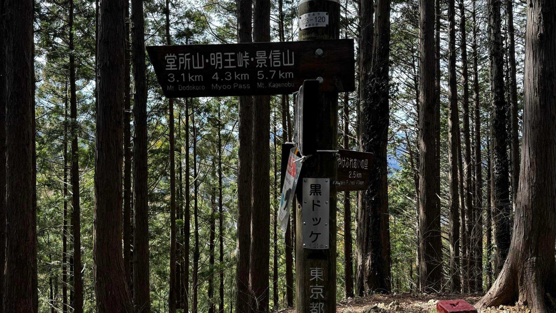 奥高尾〜裏高尾縦走（陣馬山・堂所山・富士見台・駒木野） の写真 46