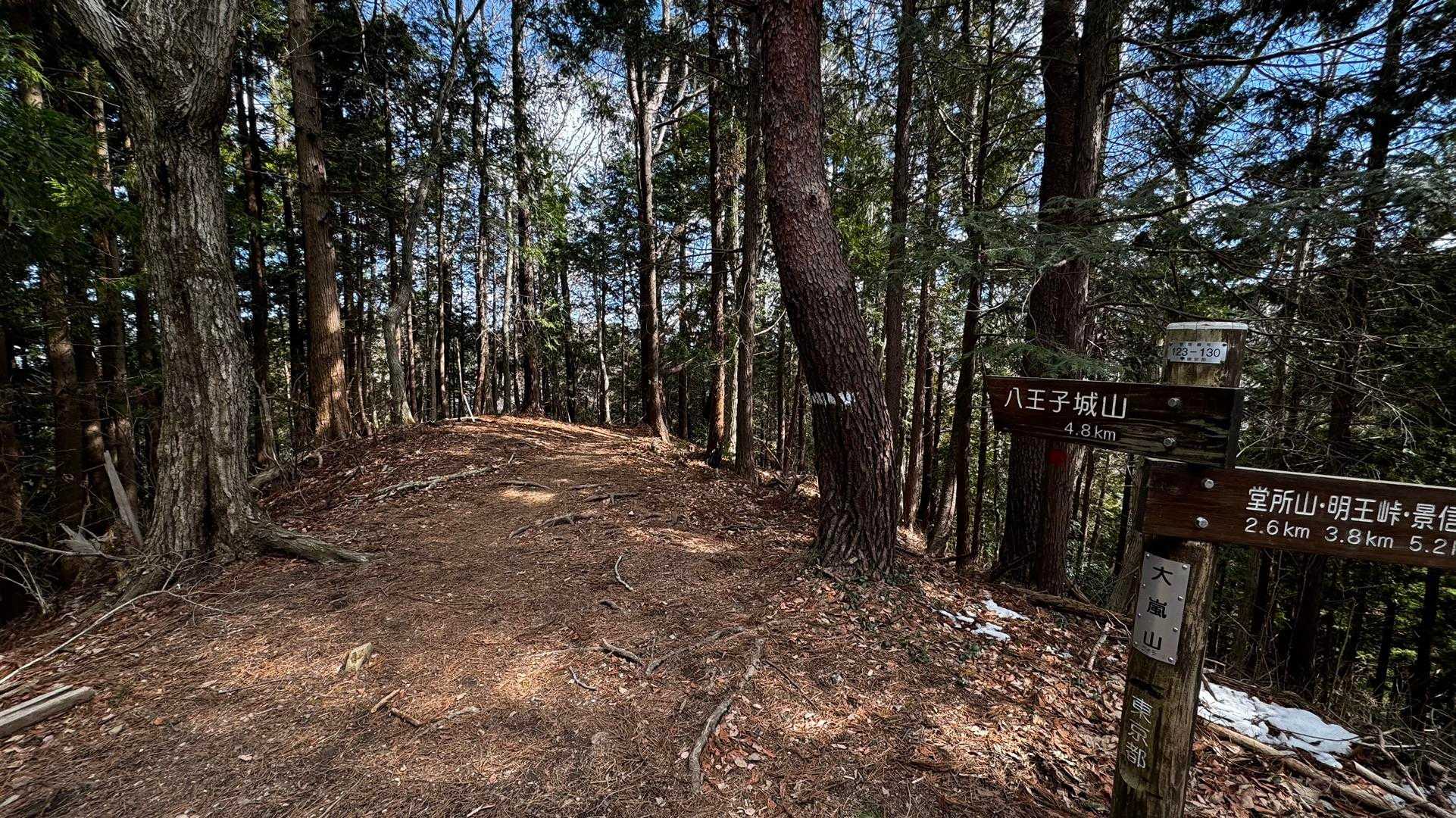 奥高尾〜裏高尾縦走（陣馬山・堂所山・富士見台・駒木野） の写真 43