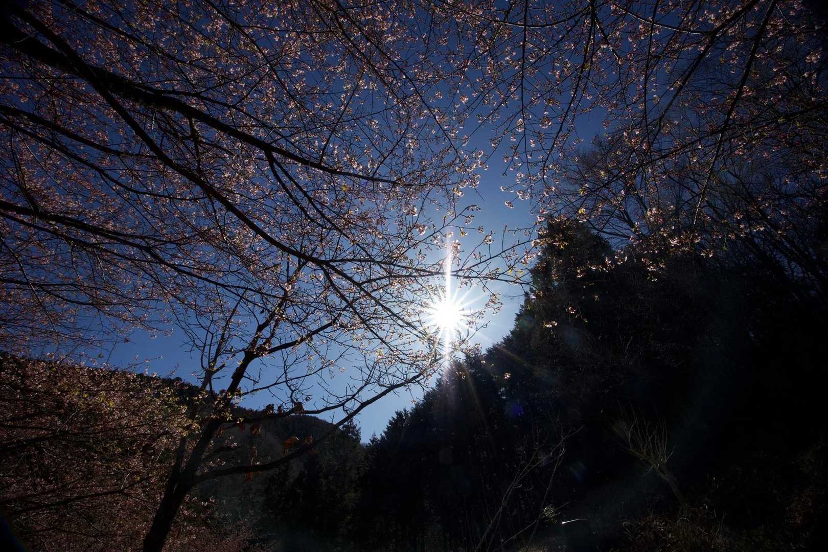 奥高尾〜裏高尾縦走（陣馬山・堂所山・富士見台・駒木野） の写真 5