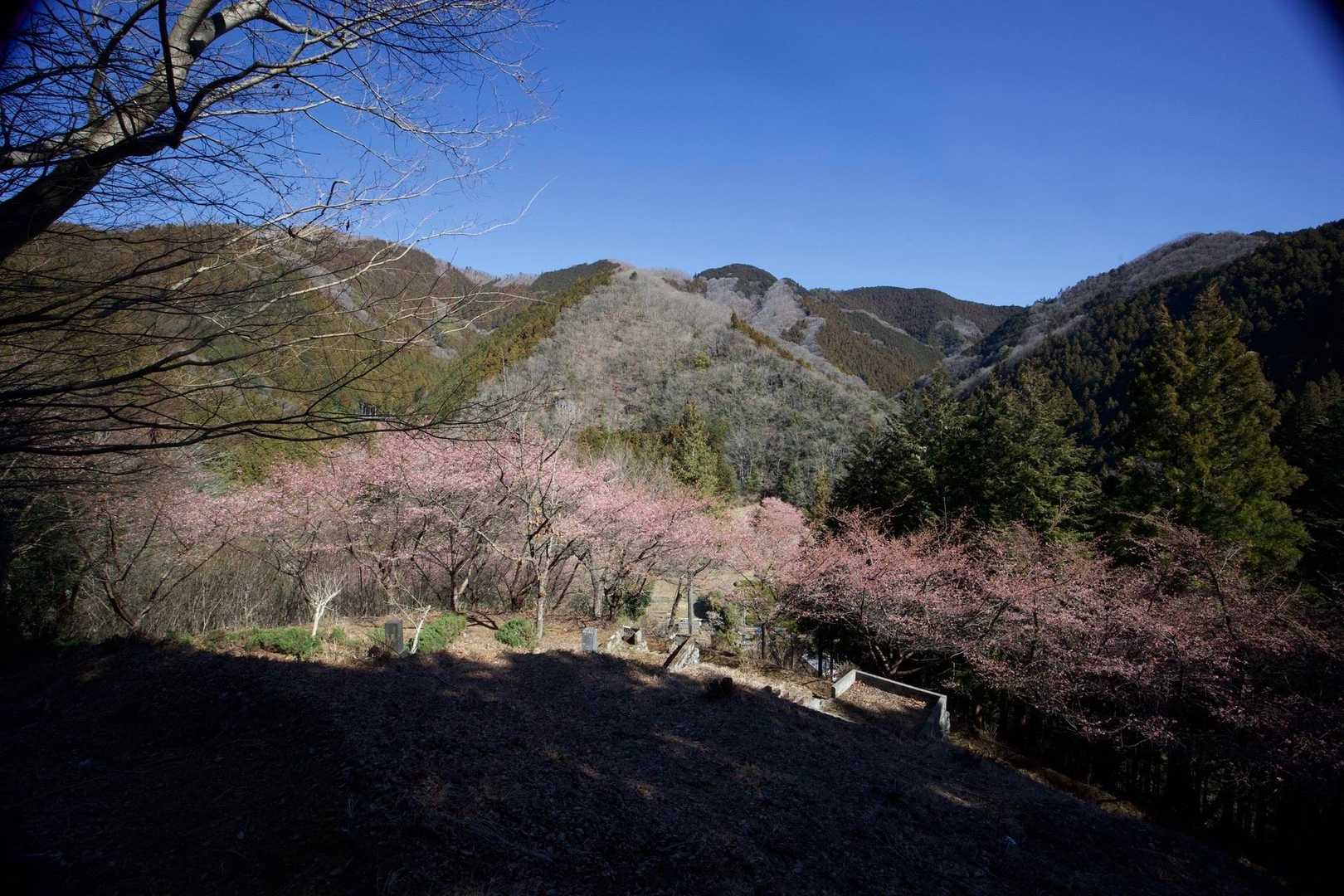奥高尾〜裏高尾縦走（陣馬山・堂所山・富士見台・駒木野） の写真 7