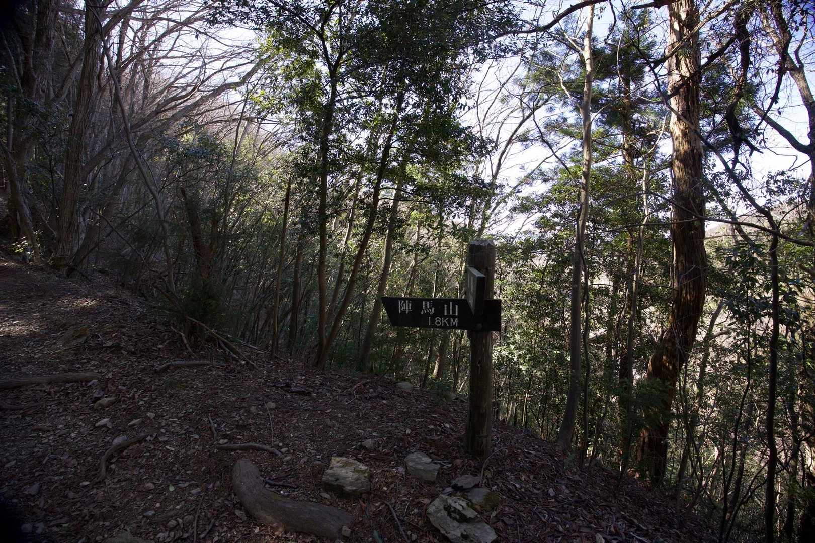 奥高尾〜裏高尾縦走（陣馬山・堂所山・富士見台・駒木野） の写真 8