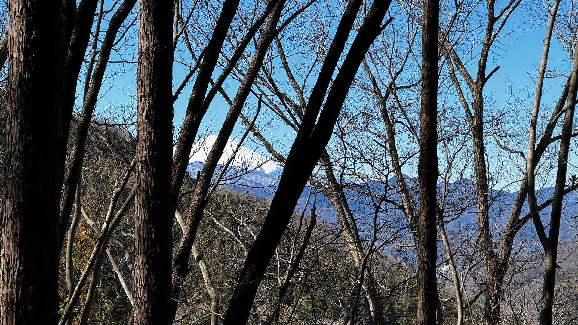 奥高尾〜裏高尾縦走（陣馬山・堂所山・富士見台・駒木野） の写真 10