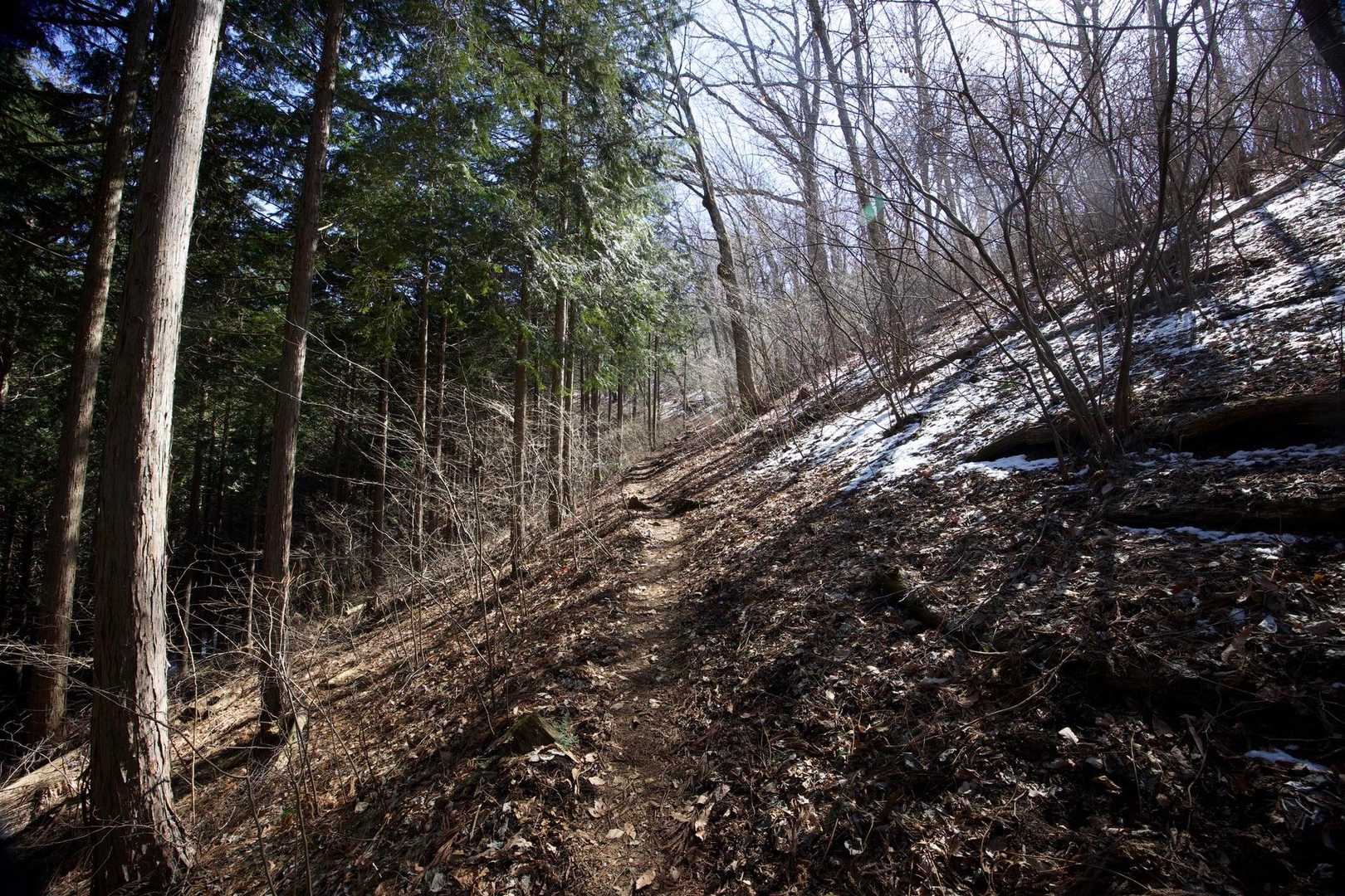 奥高尾〜裏高尾縦走（陣馬山・堂所山・富士見台・駒木野） の写真 11