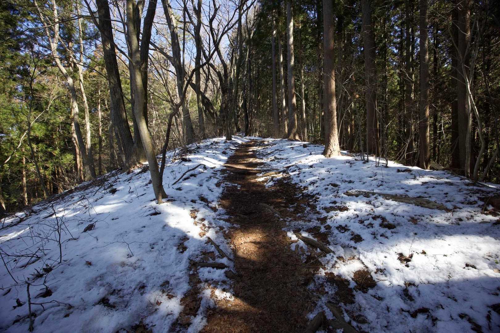奥高尾〜裏高尾縦走（陣馬山・堂所山・富士見台・駒木野） の写真 12