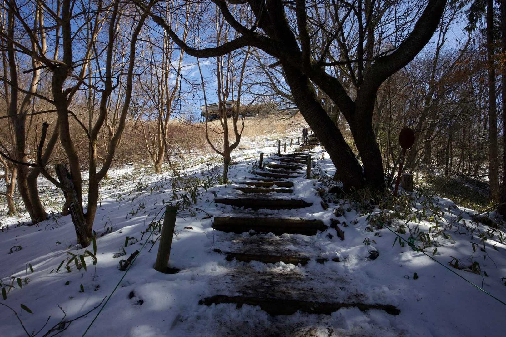 奥高尾〜裏高尾縦走（陣馬山・堂所山・富士見台・駒木野） の写真 17