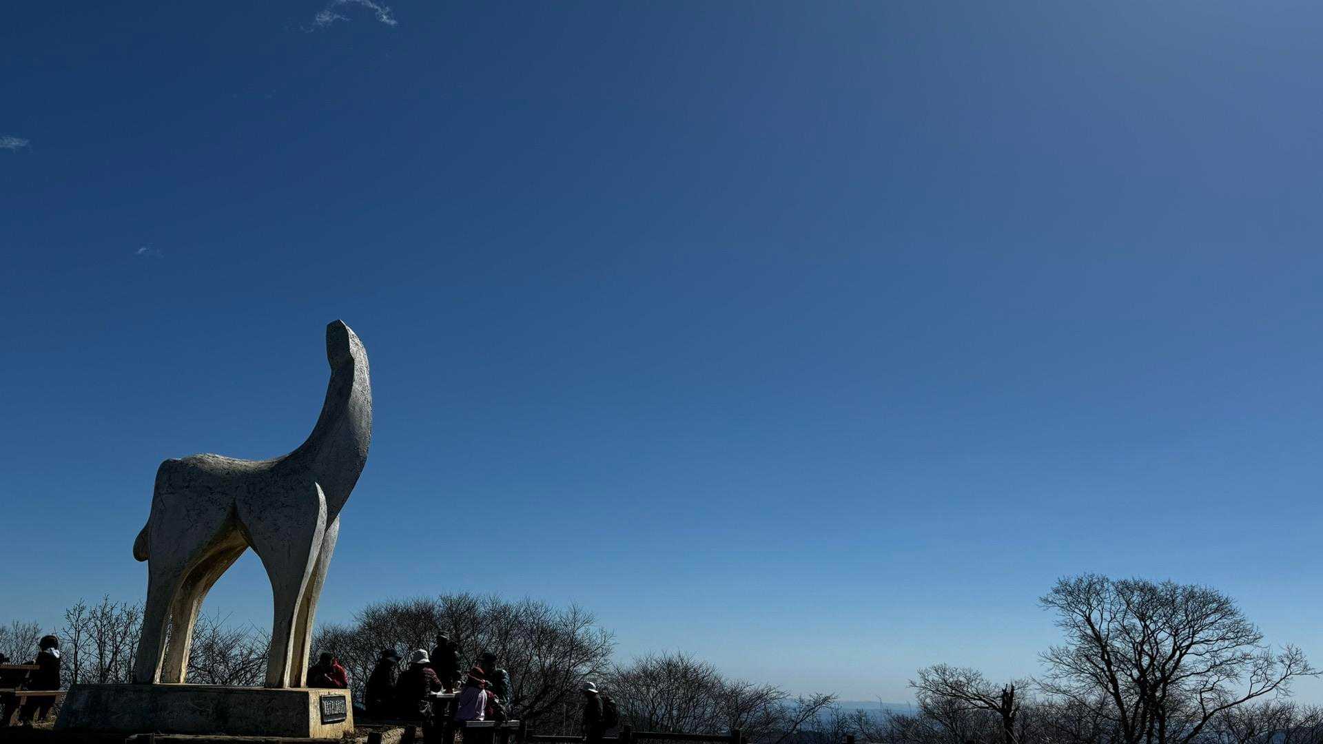 奥高尾〜裏高尾縦走（陣馬山・堂所山・富士見台・駒木野） の写真 18