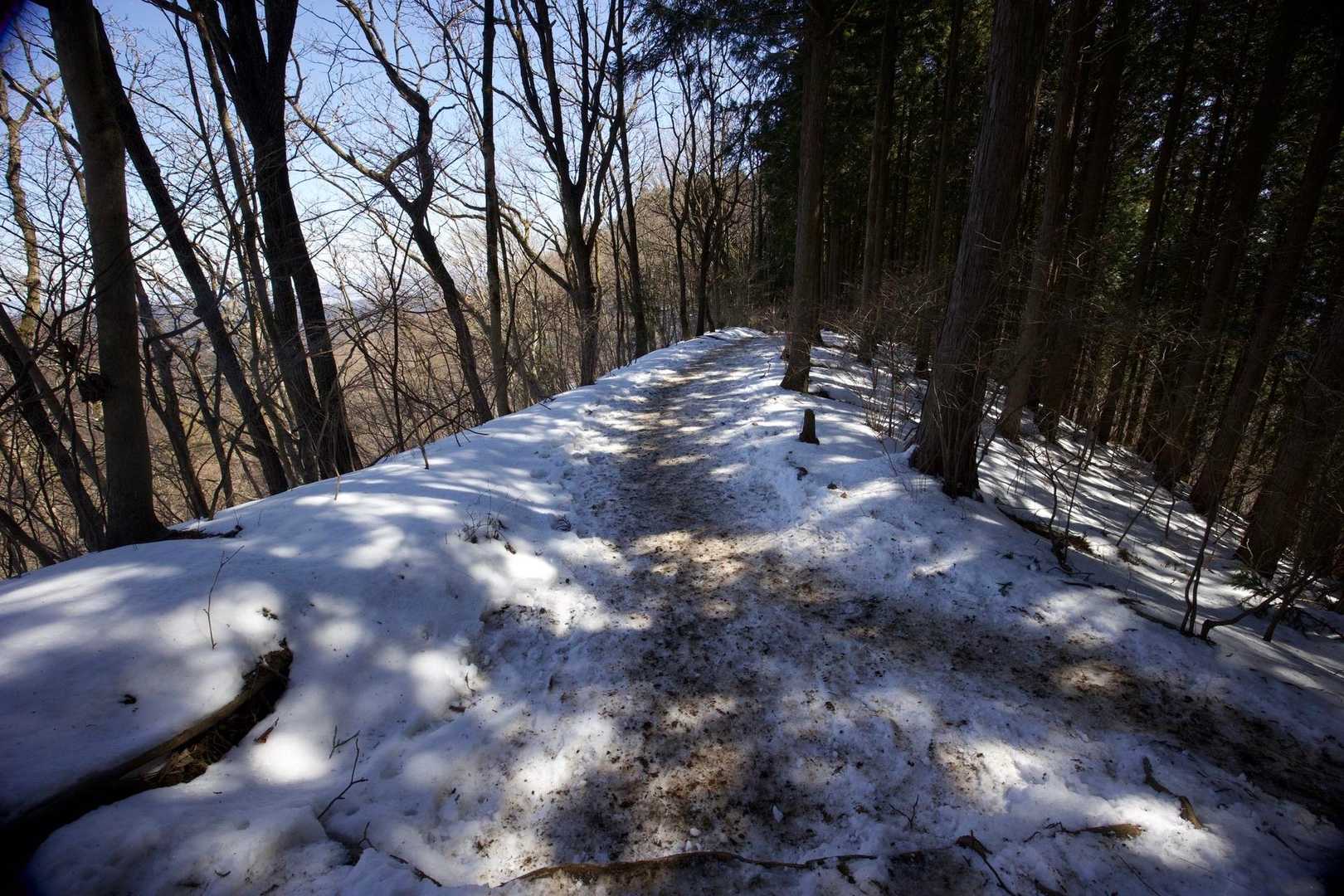 奥高尾〜裏高尾縦走（陣馬山・堂所山・富士見台・駒木野） の写真 26