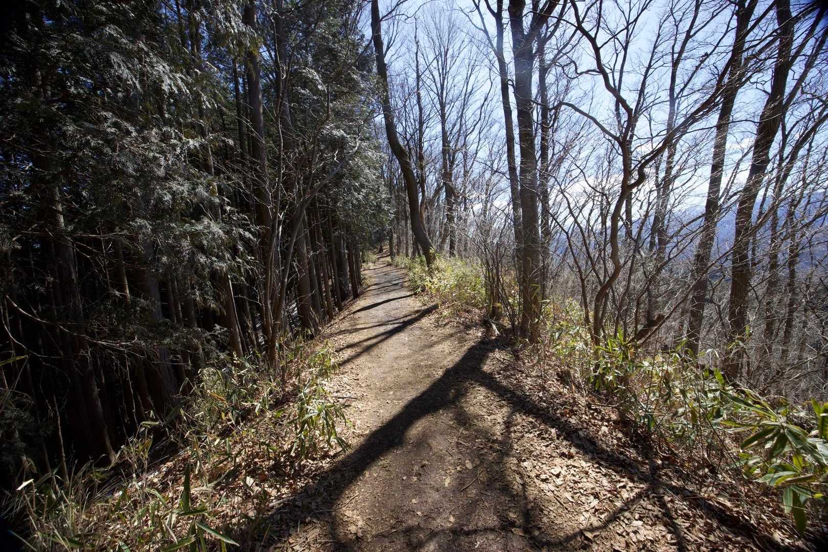 奥高尾〜裏高尾縦走（陣馬山・堂所山・富士見台・駒木野） の写真 30