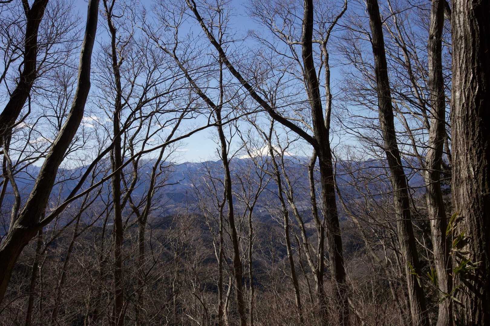 奥高尾〜裏高尾縦走（陣馬山・堂所山・富士見台・駒木野） の写真 31