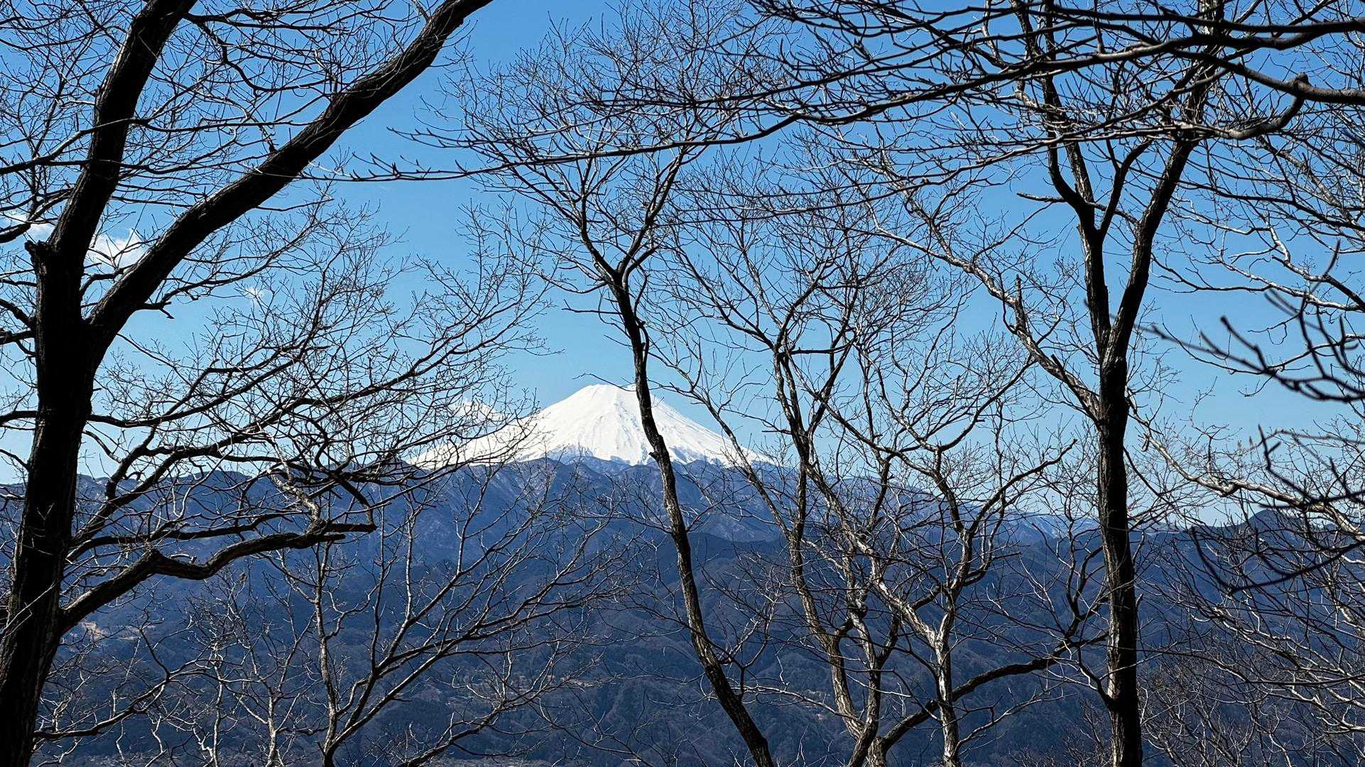 奥高尾〜裏高尾縦走（陣馬山・堂所山・富士見台・駒木野） の写真 32