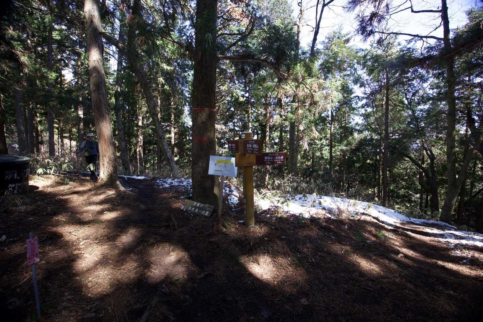 奥高尾〜裏高尾縦走（陣馬山・堂所山・富士見台・駒木野） の写真 34