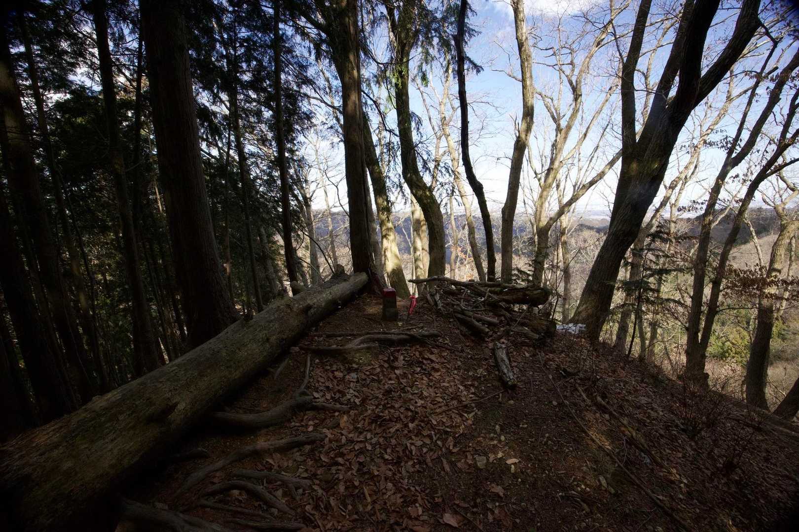 奥高尾〜裏高尾縦走（陣馬山・堂所山・富士見台・駒木野） の写真 37