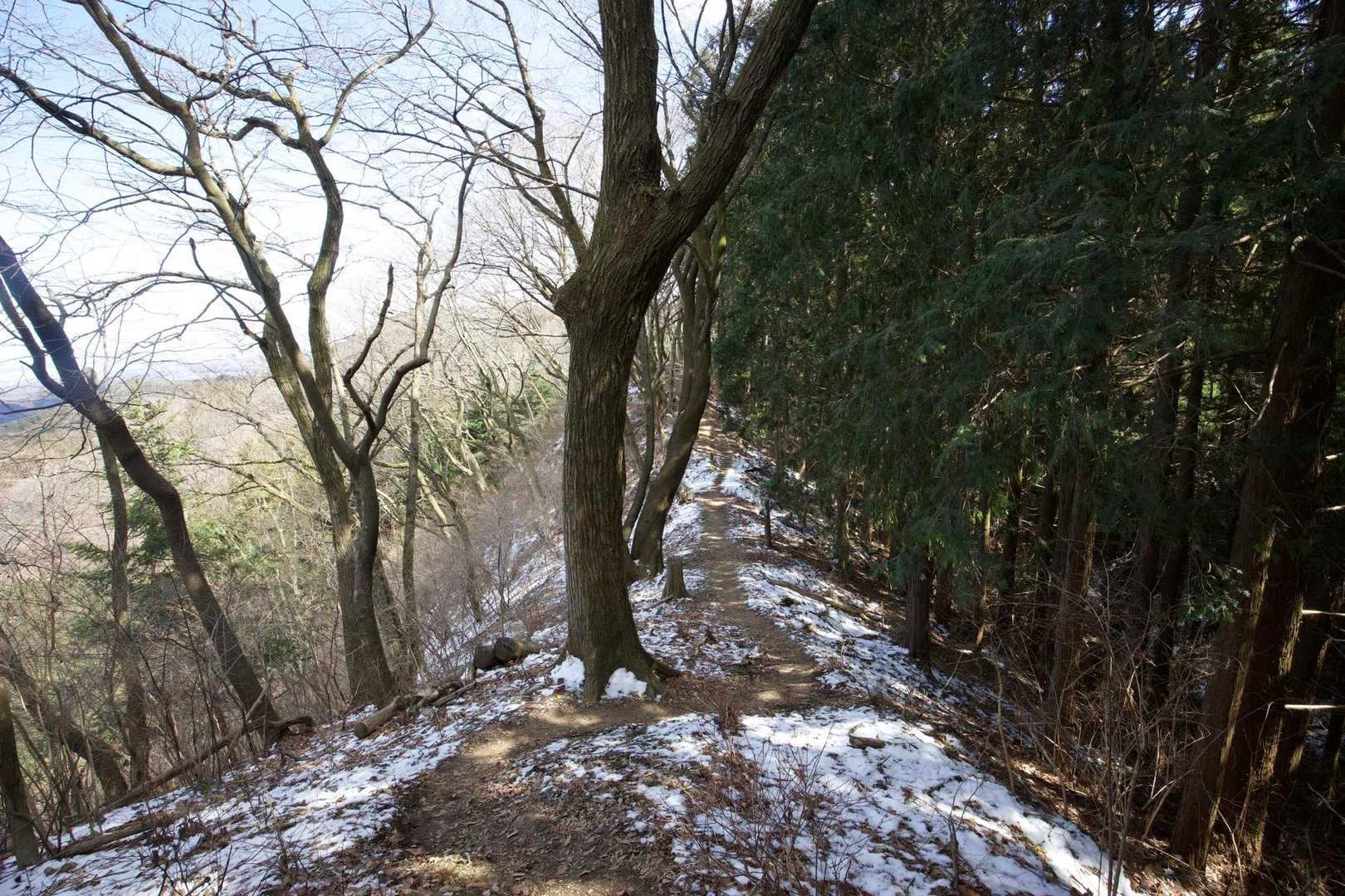 奥高尾〜裏高尾縦走（陣馬山・堂所山・富士見台・駒木野） の写真 38
