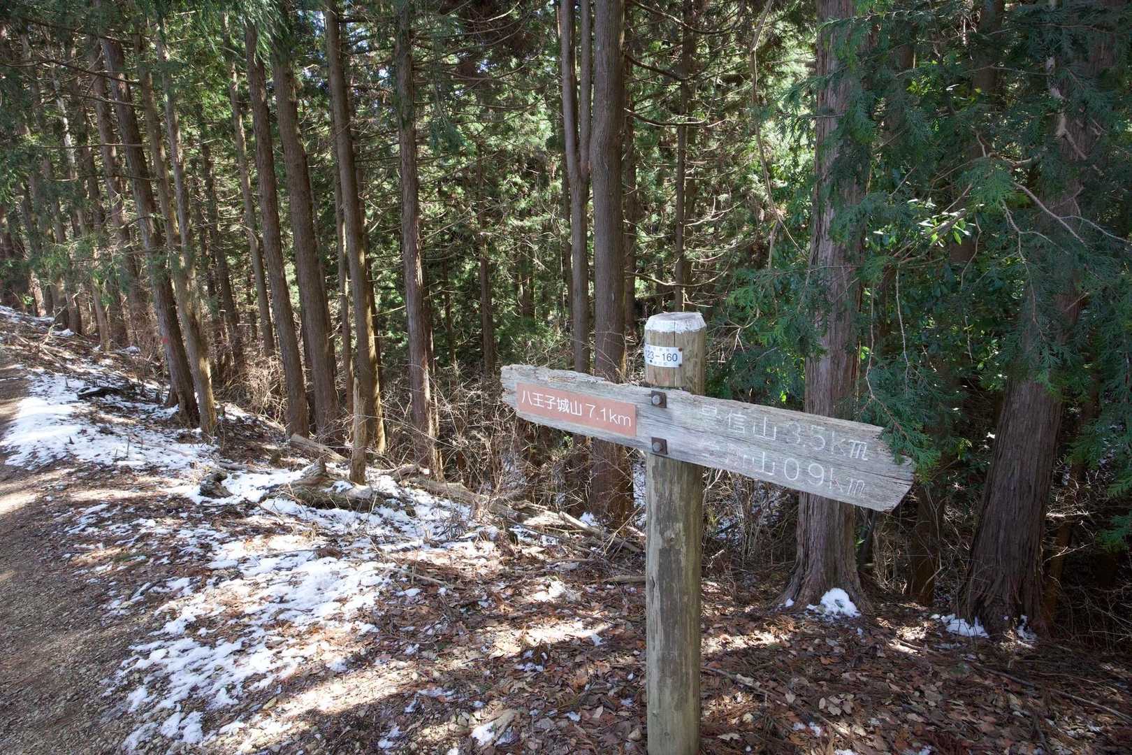奥高尾〜裏高尾縦走（陣馬山・堂所山・富士見台・駒木野） の写真 39