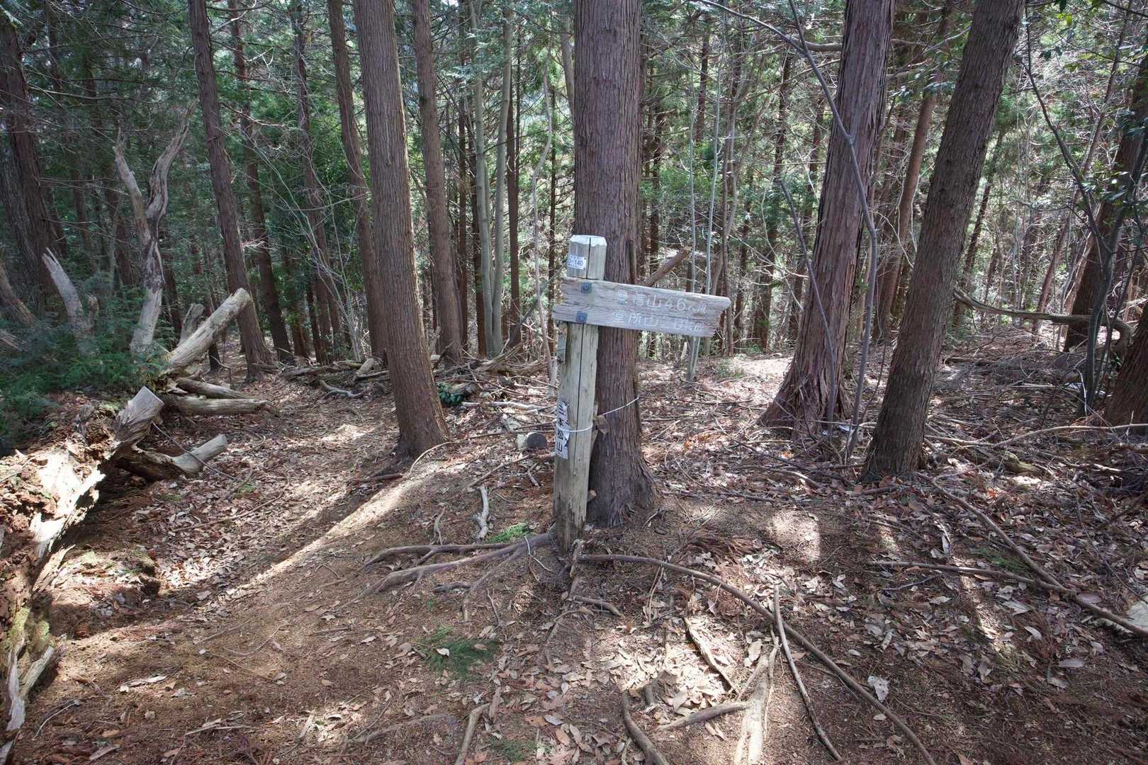 奥高尾〜裏高尾縦走（陣馬山・堂所山・富士見台・駒木野） の写真 40