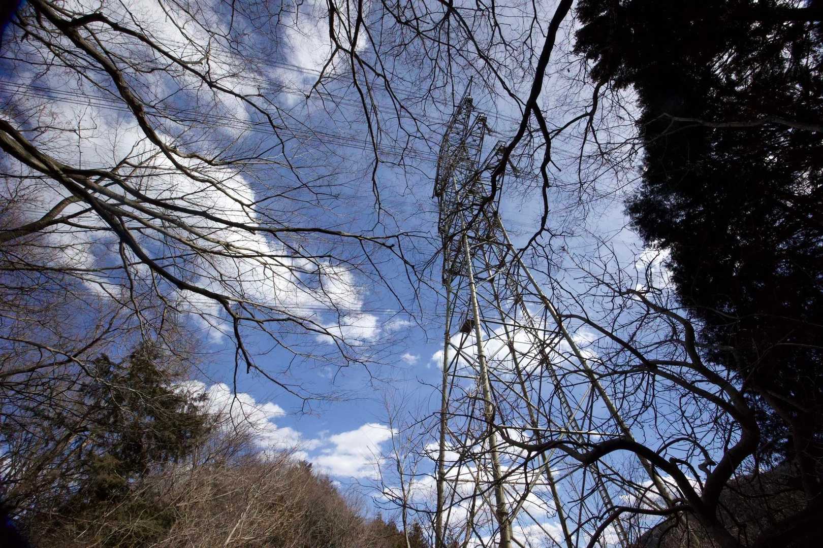 奥高尾〜裏高尾縦走（陣馬山・堂所山・富士見台・駒木野） の写真 41