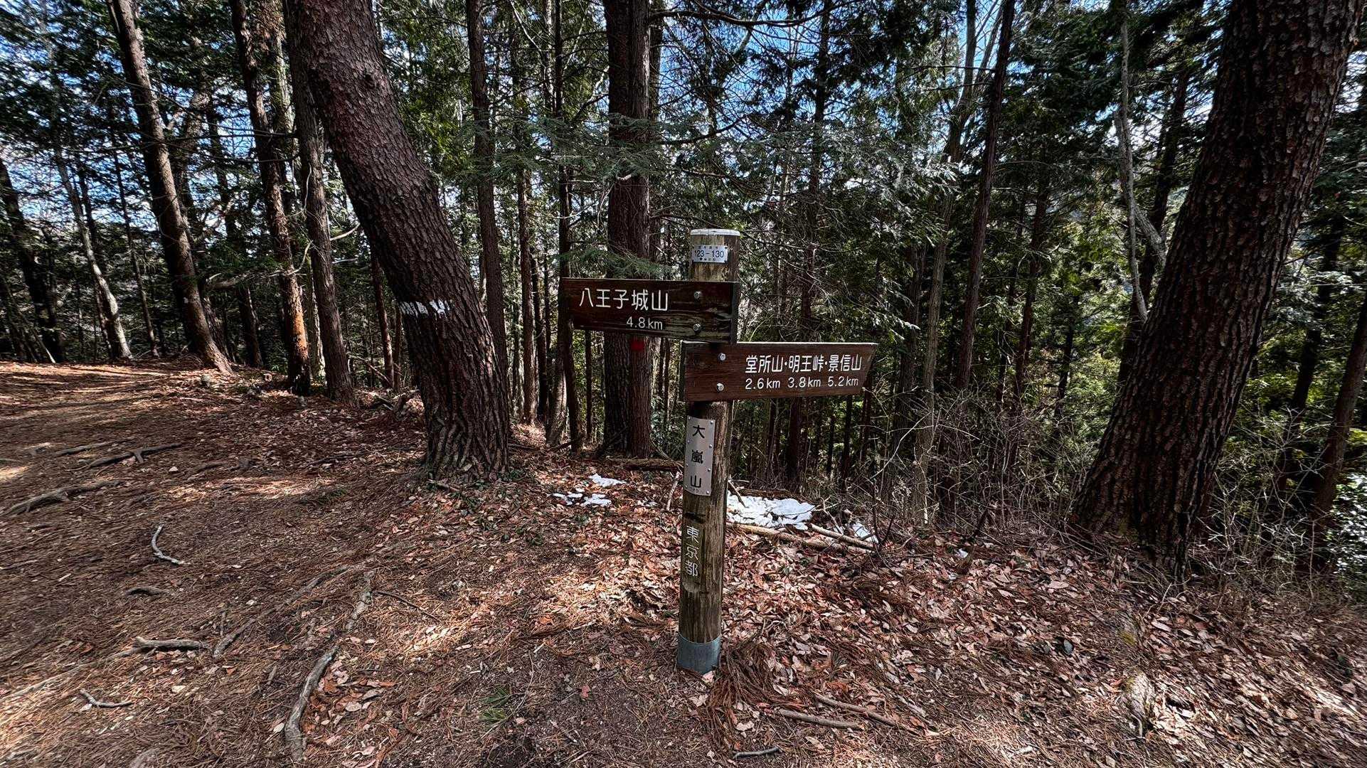 奥高尾〜裏高尾縦走（陣馬山・堂所山・富士見台・駒木野） の写真 42