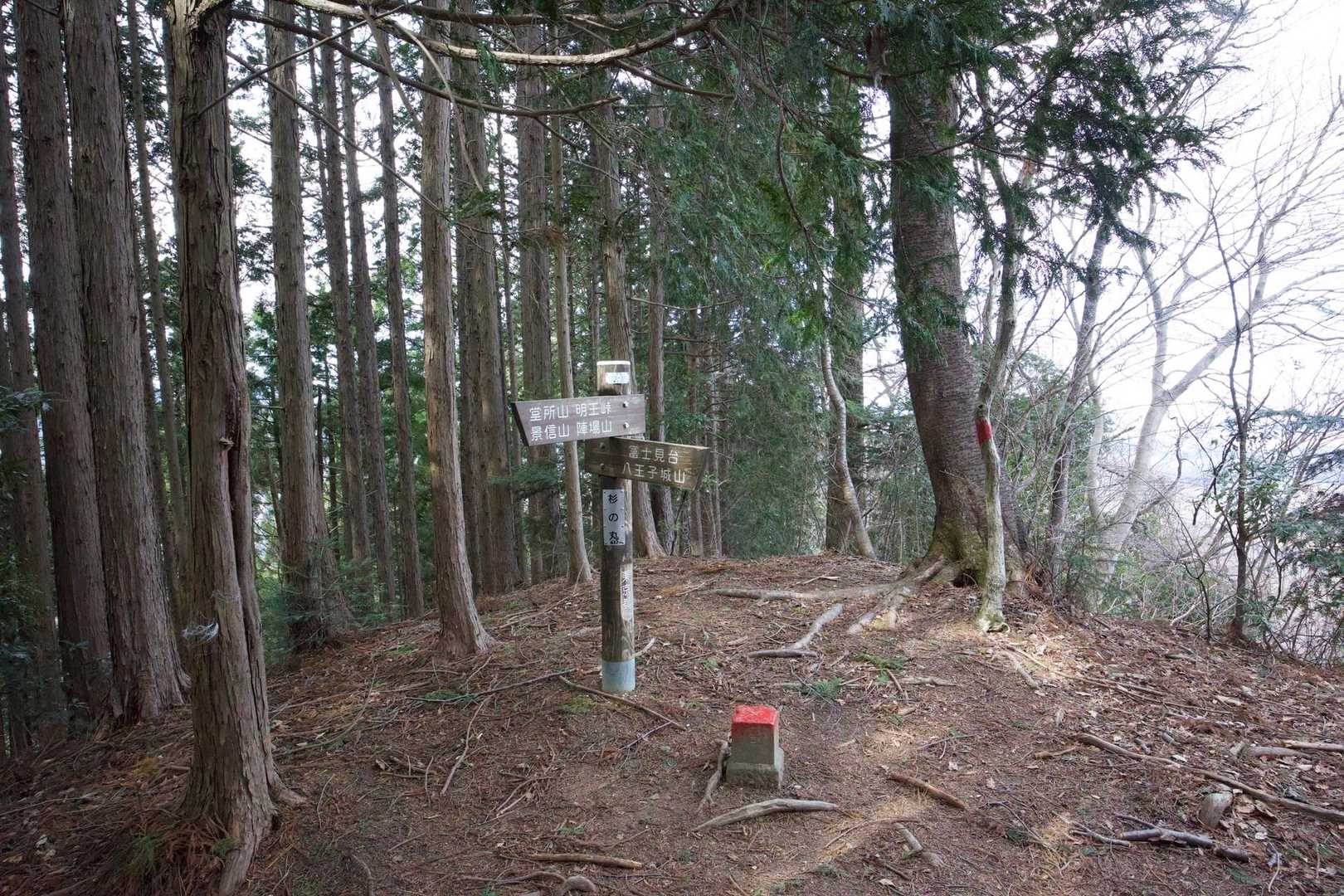 奥高尾〜裏高尾縦走（陣馬山・堂所山・富士見台・駒木野） の写真 49