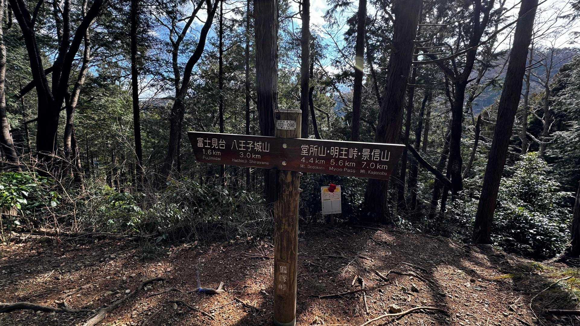 奥高尾〜裏高尾縦走（陣馬山・堂所山・富士見台・駒木野） の写真 51