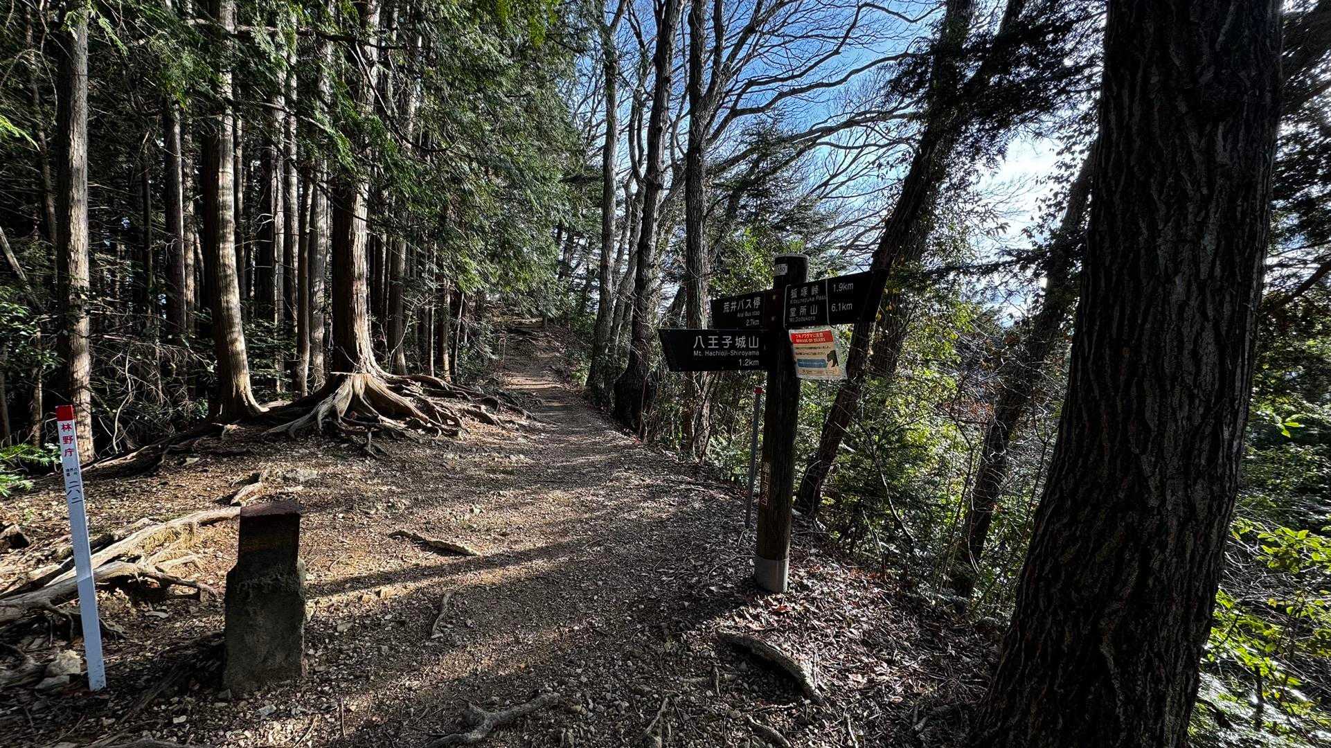 奥高尾〜裏高尾縦走（陣馬山・堂所山・富士見台・駒木野） の写真 56
