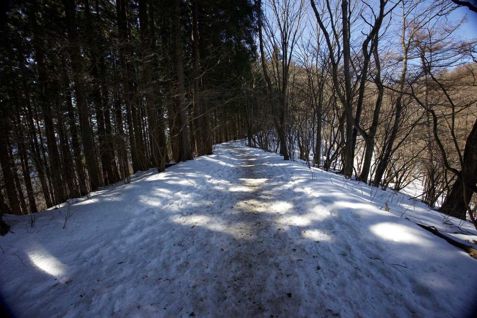 奥高尾〜裏高尾縦走（陣馬山・堂所山・富士見台・駒木野） の写真 28