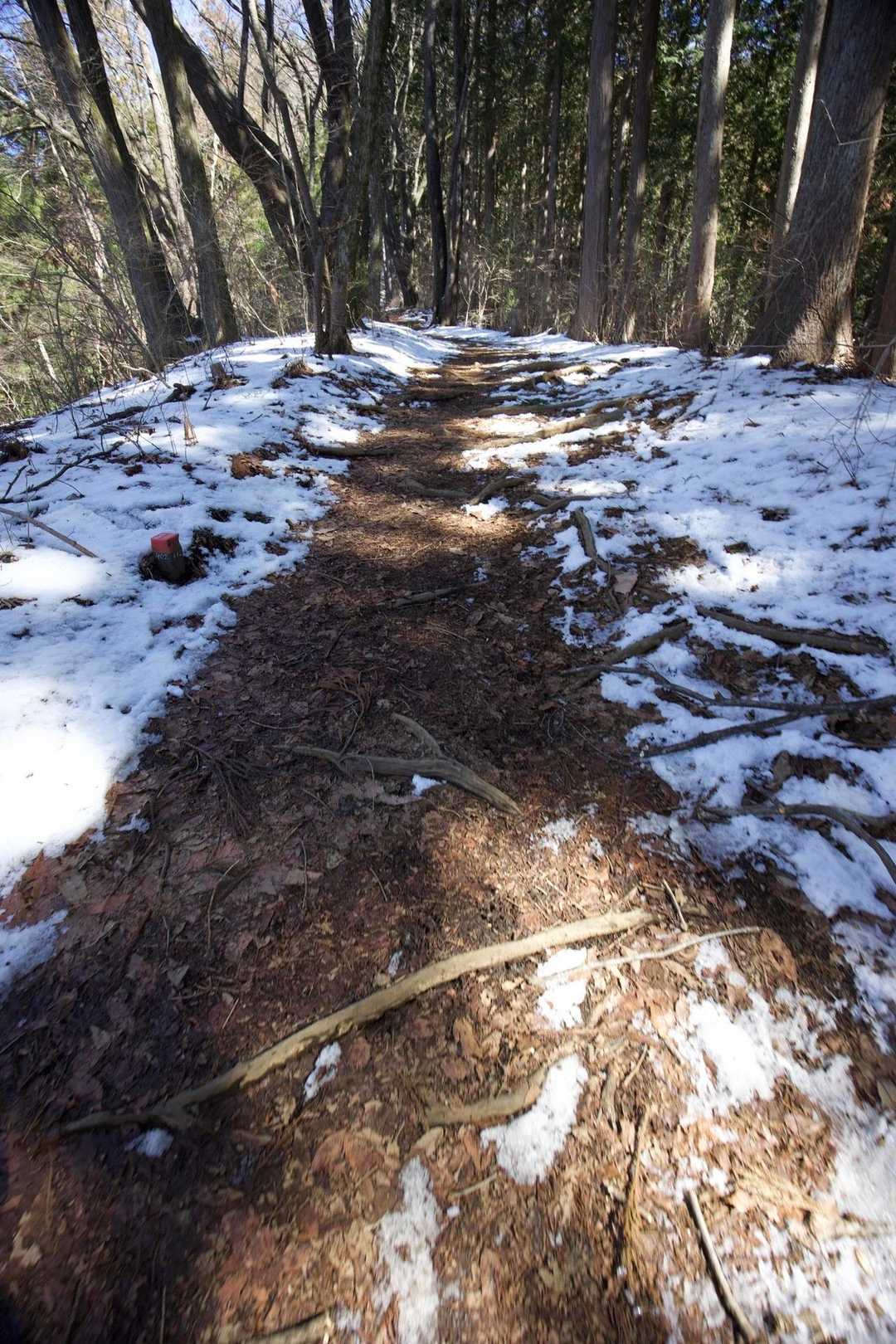 奥高尾〜裏高尾縦走（陣馬山・堂所山・富士見台・駒木野） の写真 15