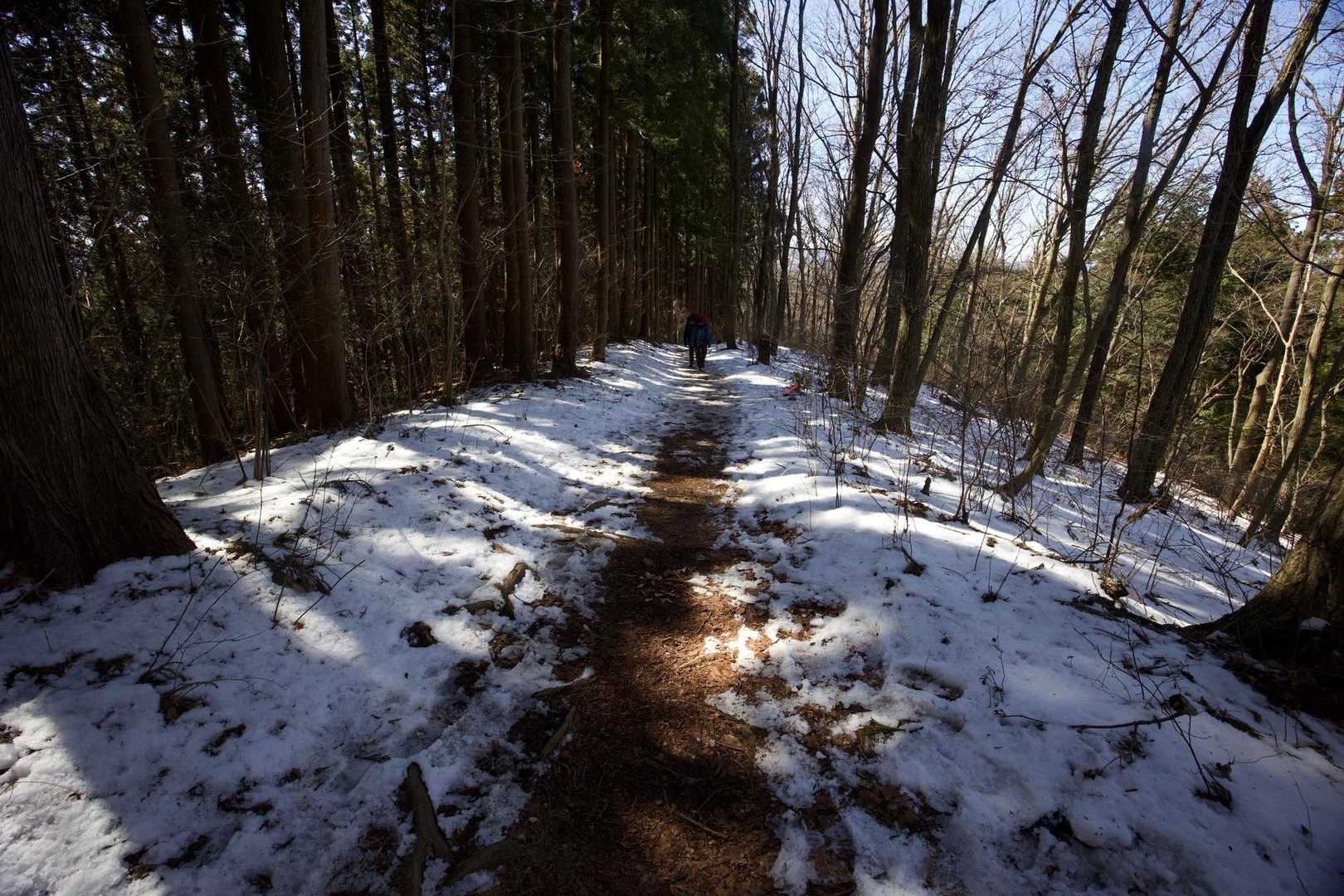 奥高尾〜裏高尾縦走（陣馬山・堂所山・富士見台・駒木野） の写真 13