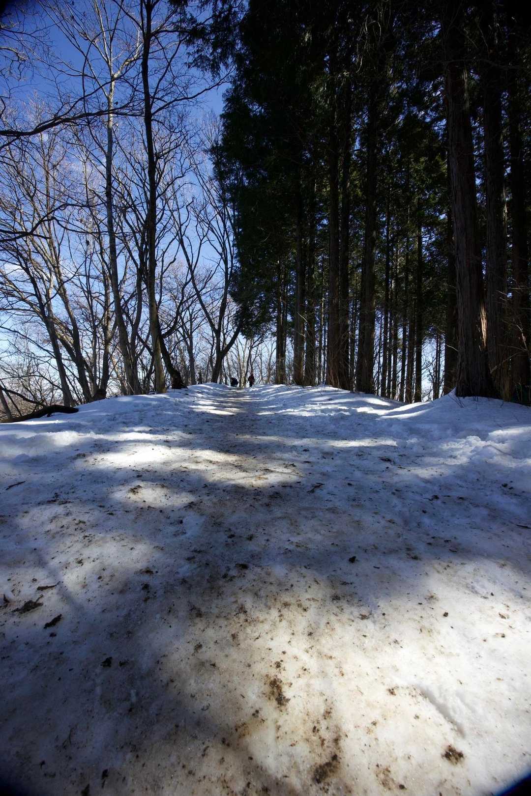 奥高尾〜裏高尾縦走（陣馬山・堂所山・富士見台・駒木野） の写真 27