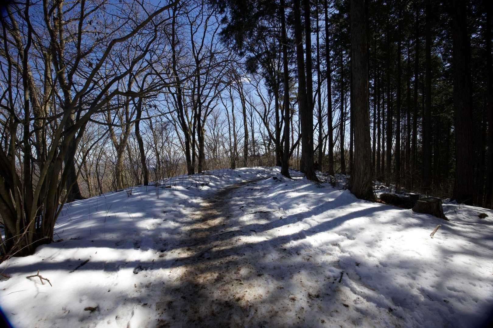 奥高尾〜裏高尾縦走（陣馬山・堂所山・富士見台・駒木野） の写真 29