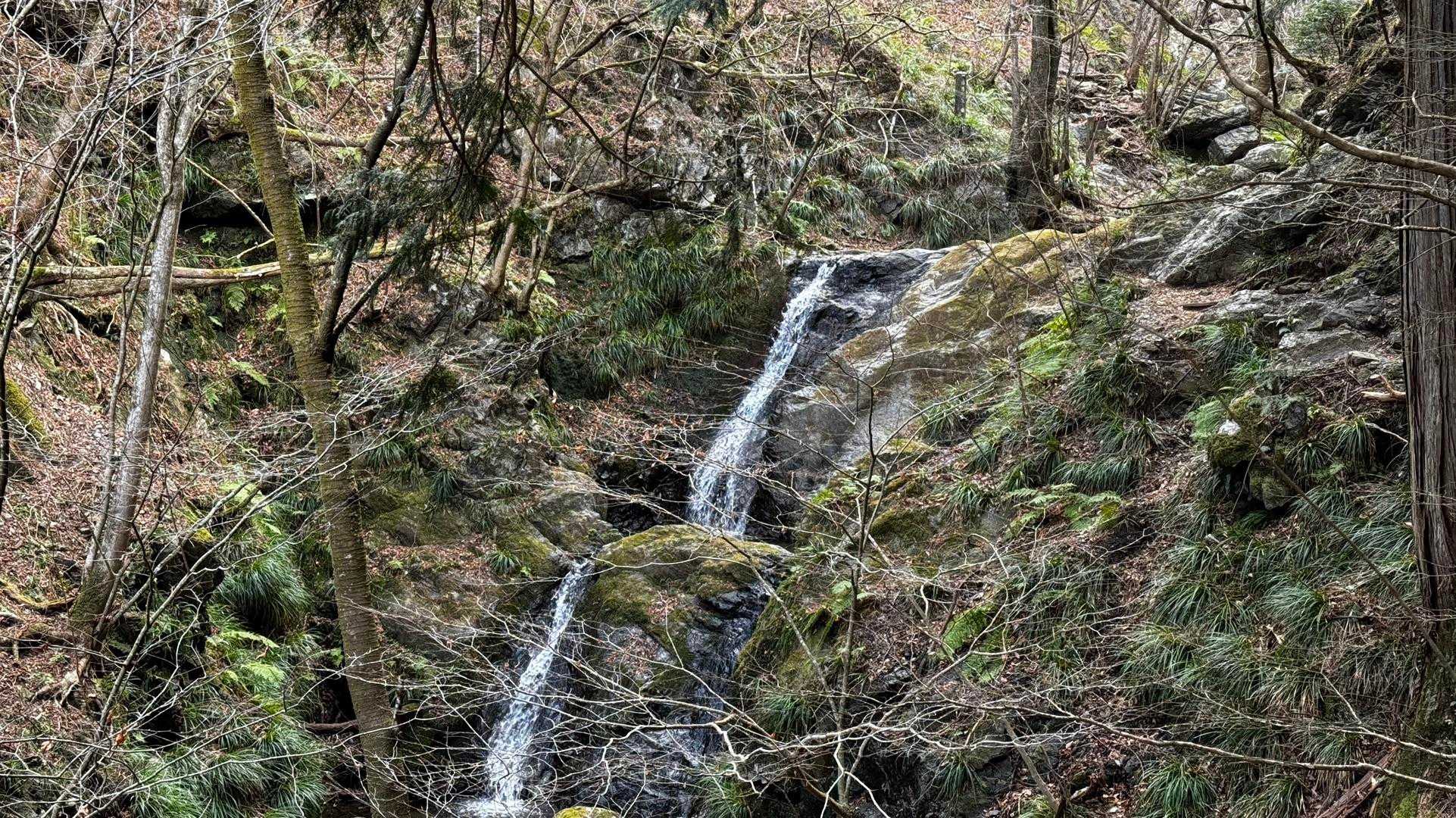 岩茸石山・棒ノ折山縦走 の写真 21