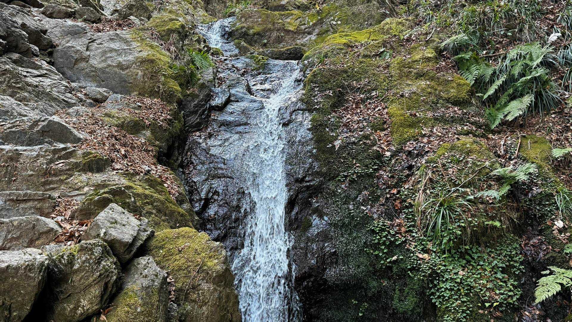 岩茸石山・棒ノ折山縦走 の写真 17