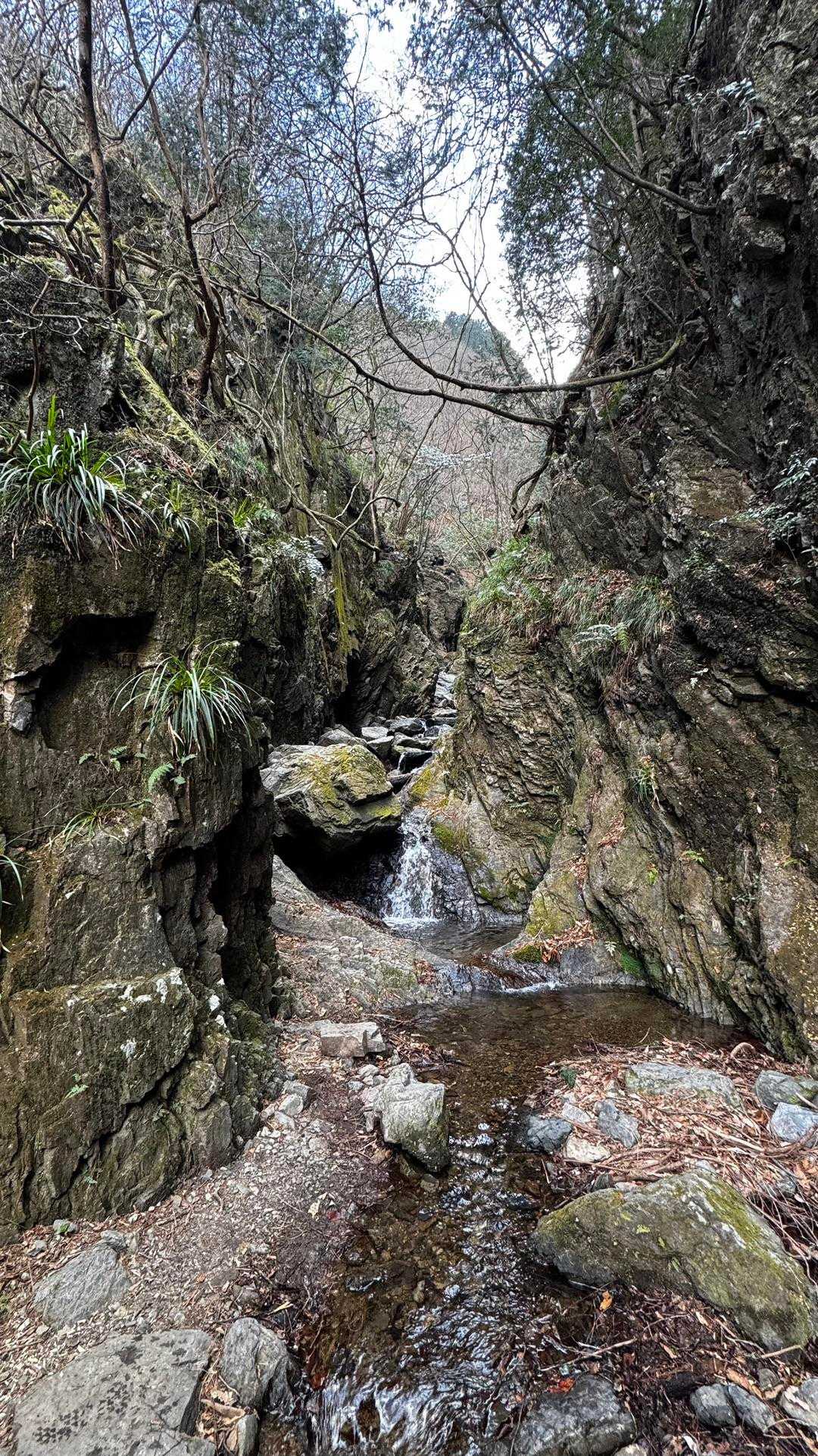 岩茸石山・棒ノ折山縦走 の写真 16