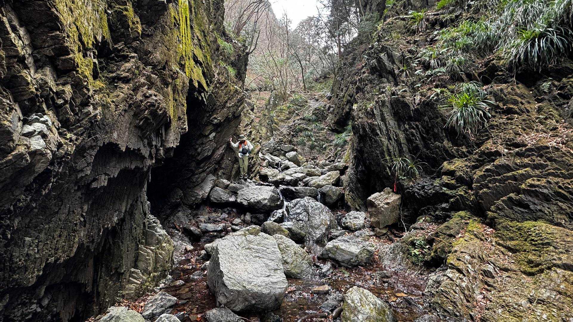 岩茸石山・棒ノ折山縦走 の写真 15