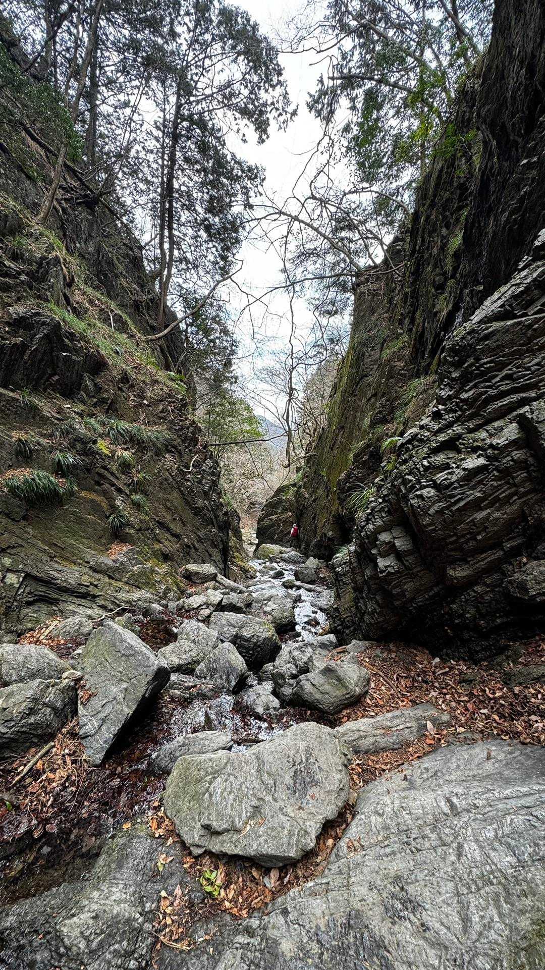 岩茸石山・棒ノ折山縦走 の写真 13