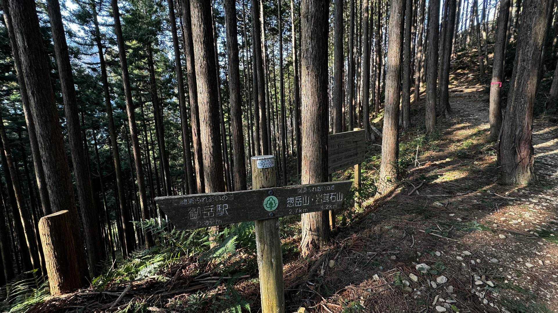 岩茸石山・棒ノ折山縦走 の写真 6