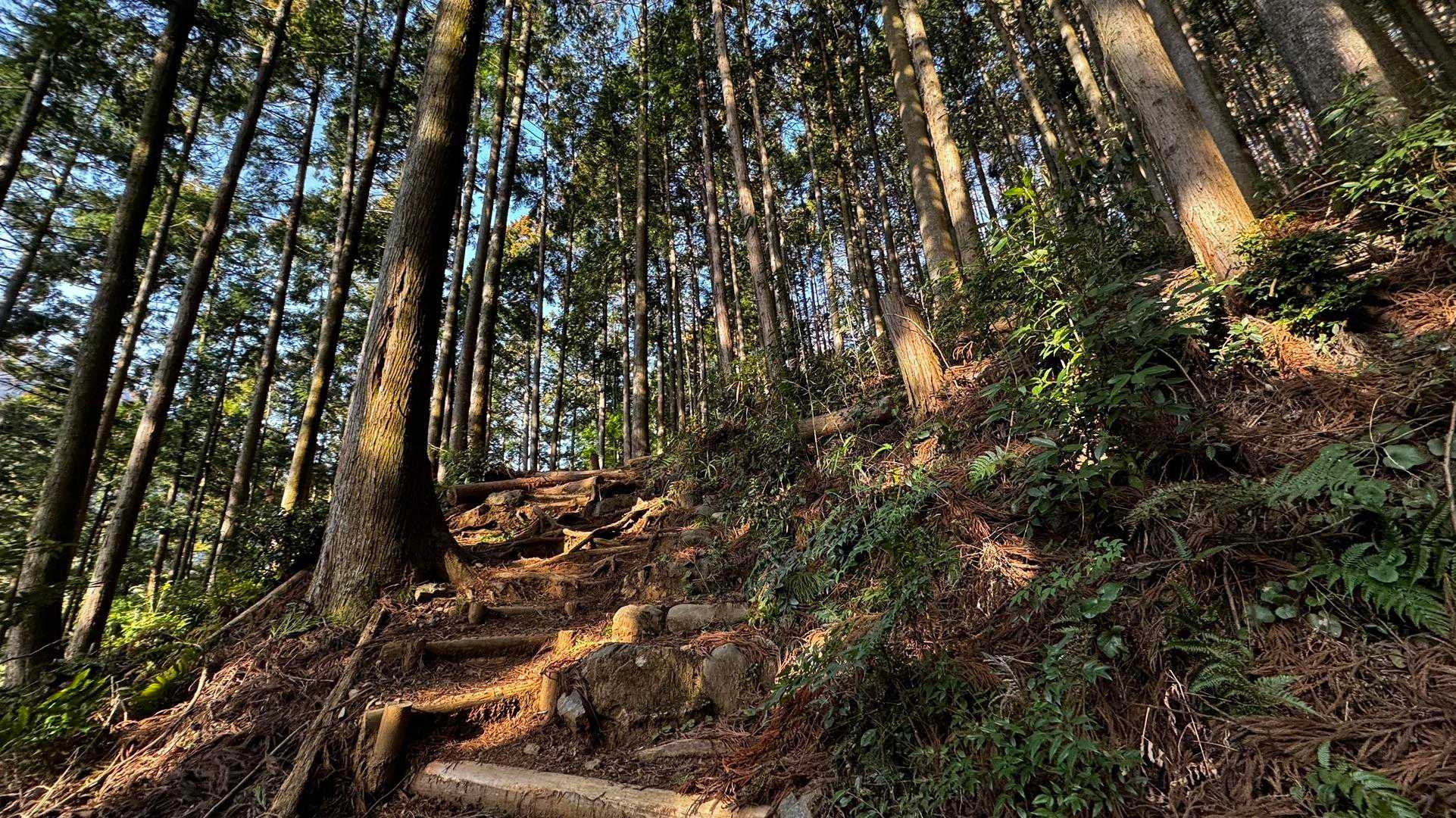 岩茸石山・棒ノ折山縦走 の写真 5