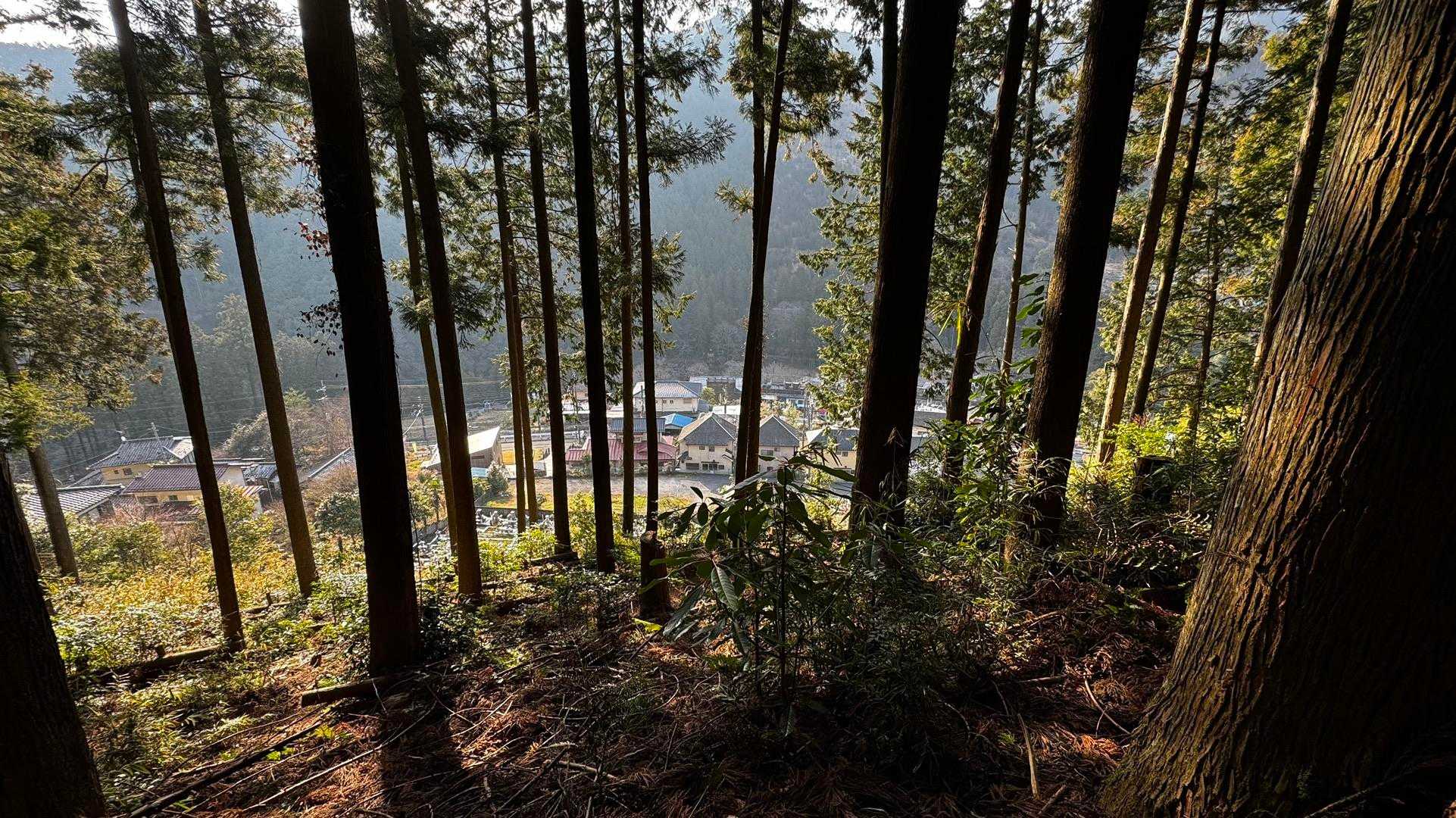 岩茸石山・棒ノ折山縦走 の写真 4