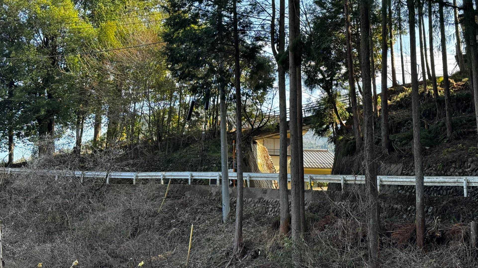奥多摩、石尾根テン泊縦走（鴨沢〜七ツ石山〜鷹ノ巣山〜六ツ石山〜奥多摩駅） の写真 118