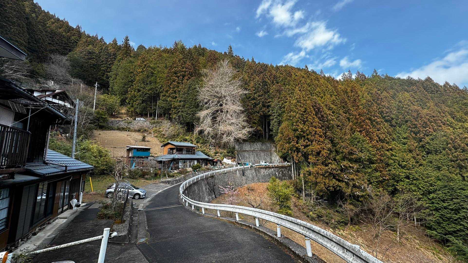 奥多摩、石尾根テン泊縦走（鴨沢〜七ツ石山〜鷹ノ巣山〜六ツ石山〜奥多摩駅） の写真 113