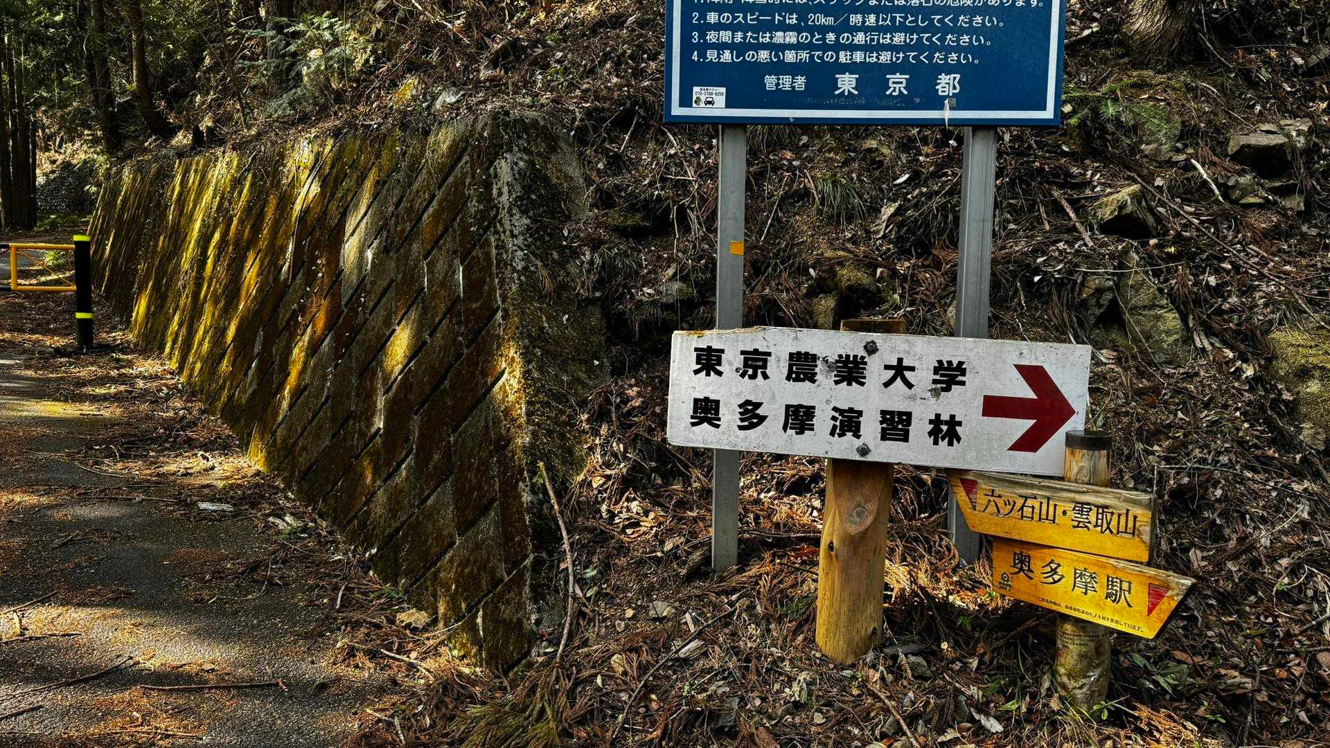 奥多摩、石尾根テン泊縦走（鴨沢〜七ツ石山〜鷹ノ巣山〜六ツ石山〜奥多摩駅） の写真 109