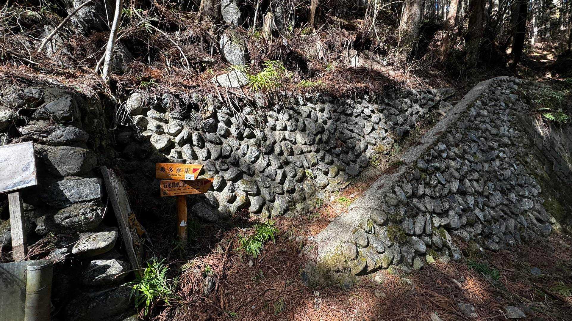 奥多摩、石尾根テン泊縦走（鴨沢〜七ツ石山〜鷹ノ巣山〜六ツ石山〜奥多摩駅） の写真 107