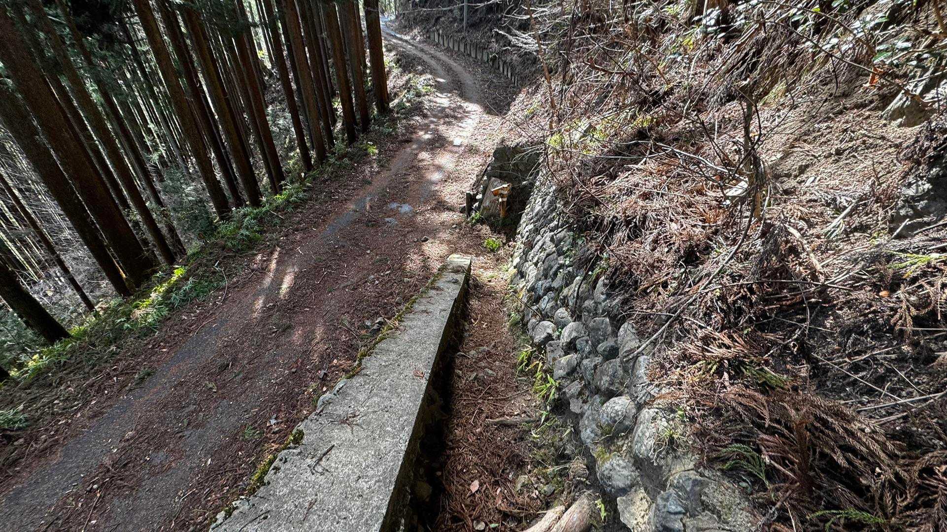 奥多摩、石尾根テン泊縦走（鴨沢〜七ツ石山〜鷹ノ巣山〜六ツ石山〜奥多摩駅） の写真 106