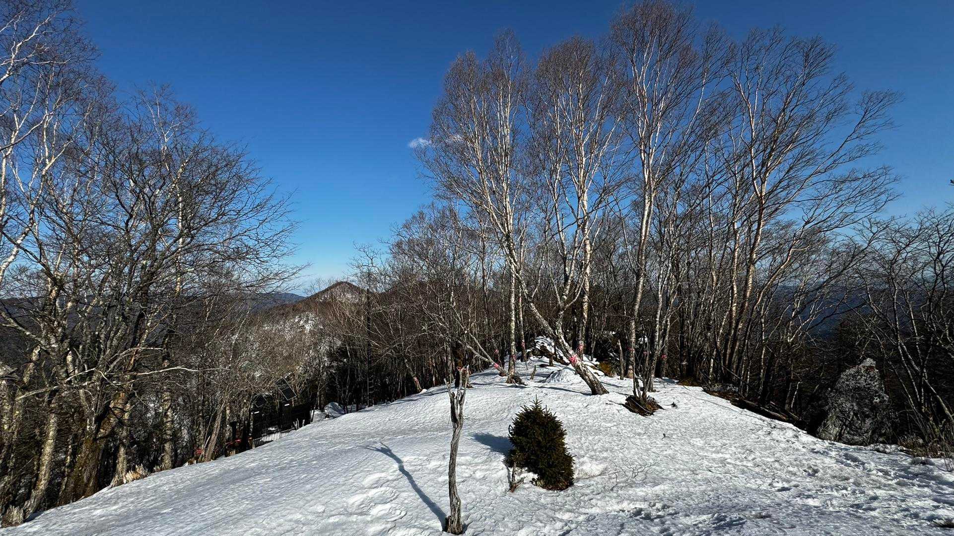 奥多摩、石尾根テン泊縦走（鴨沢〜七ツ石山〜鷹ノ巣山〜六ツ石山〜奥多摩駅） の写真 31