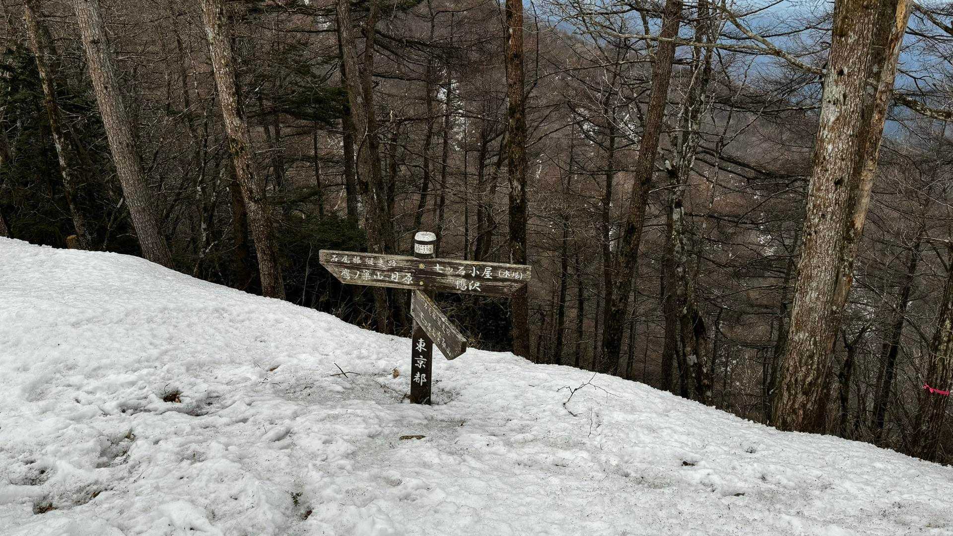 奥多摩、石尾根テン泊縦走（鴨沢〜七ツ石山〜鷹ノ巣山〜六ツ石山〜奥多摩駅） の写真 43