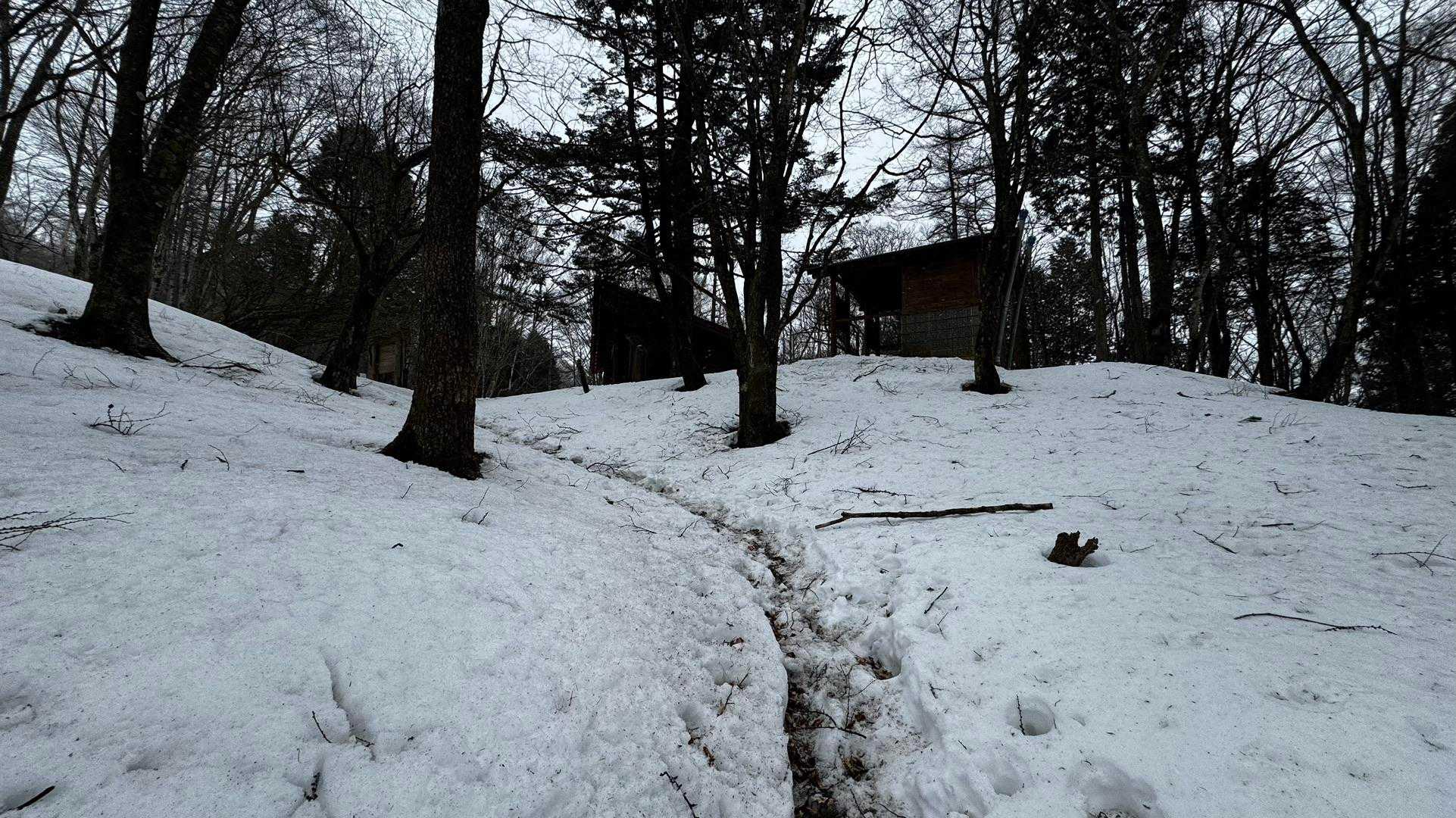 奥多摩、石尾根テン泊縦走（鴨沢〜七ツ石山〜鷹ノ巣山〜六ツ石山〜奥多摩駅） の写真 61