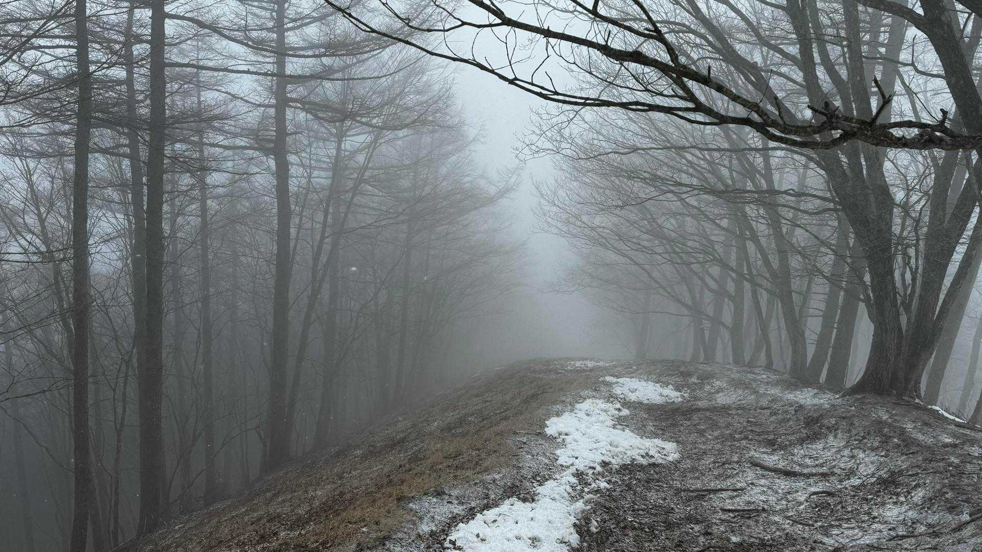 奥多摩、石尾根テン泊縦走（鴨沢〜七ツ石山〜鷹ノ巣山〜六ツ石山〜奥多摩駅） の写真 67