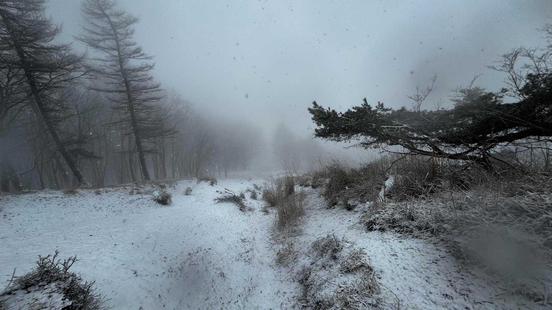 奥多摩、石尾根テン泊縦走（鴨沢〜七ツ石山〜鷹ノ巣山〜六ツ石山〜奥多摩駅） の写真 71